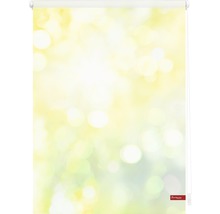 Rollo mit Punktmuster für Fenster