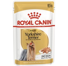 Royal Canin Adult Yorkshire Terrier Hundefutter, 85 Gramm Portionsbeutel