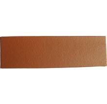 Fassadenklinker 7-Schlitz NF Naturrot 240 x 115 x 71 mm