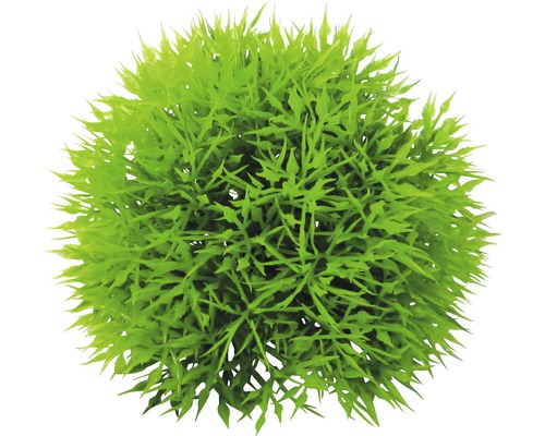 Kunststoff-Wasserpflanze Deluxe Small Nr. 9 12 cm
