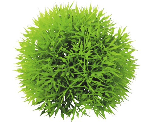 Kunststoff-Wasserpflanze Deluxe Small Nr. 9 12 cm Kunststoff-Wasserpflanze Deluxe Small Nr. 9 12 cm