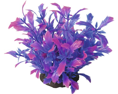 Kunststoff-Wasserpflanze Deluxe Small Nr. 21 12 cm Kunststoff-Wasserpflanze Deluxe Small Nr. 21 12 cm