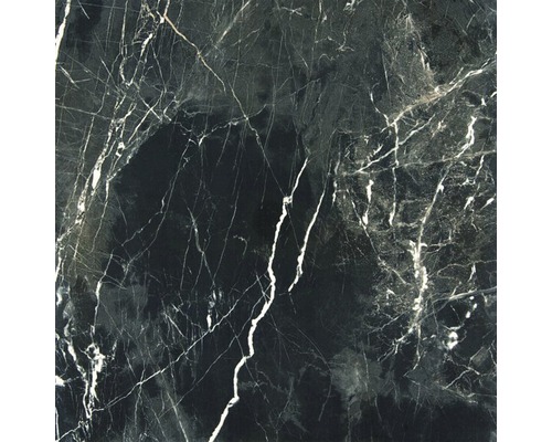 Feinsteinzeug Wand- und Bodenfliese Premium Marble Carbon 60 x 60 cm