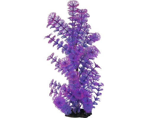 Kunststoff-Wasserpflanze Deluxe X-Large Nr. 8 38 cm Kunststoff-Wasserpflanze Deluxe X-Large Nr. 8 38 cm