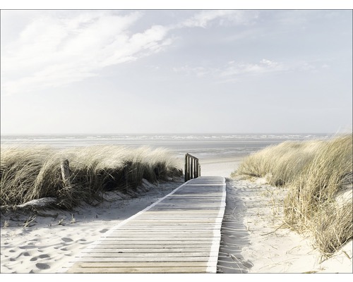Holzsteg zum Strand mit Dünenlandschaft