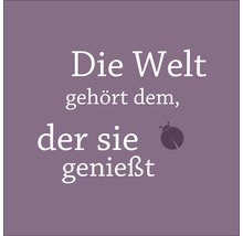 Glasbild Die Welt … 20x20 cm GLA1002