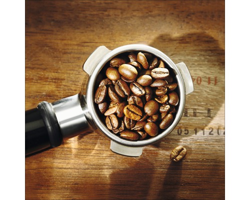 Glasbild Kaffee Arabica II 30x30 cm GLA784