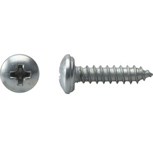 Blechschraube m. Halbrundkopf 4,8x19 mm verzinkt, 1000 Stück