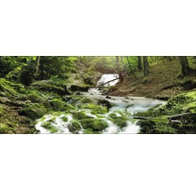 Eine malerische Waldlandschaft mit einem Wasserfall und moosbedeckten Steinen.