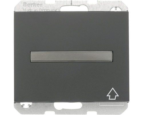 Berker Wippschaltereinsatz mit Pfeilsymbol