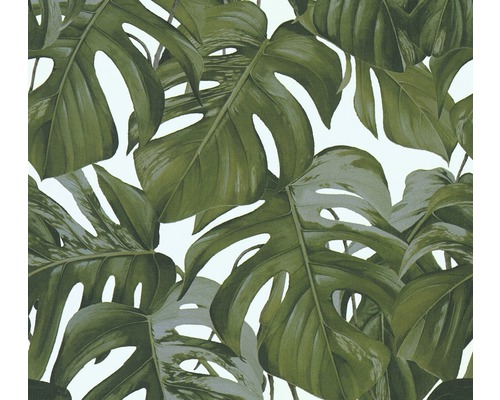 Vliestapete 36519-3 Michalsky 3 - Dream Again Monsterablätter Tapete mit Monstera Blatt Muster
