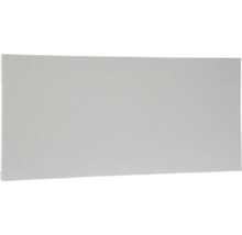 Infrarot Heizpaneel Vitalheizung Victory HVH 450 59,2x89,2 cm 450 Watt