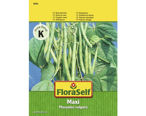 Buschbohne 'Maxi' FloraSelf samenfestes Saatgut Gemüsesamen-0