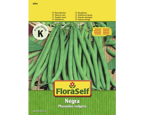 Buschbohne 'Negra' FloraSelf samenfestes Saatgut Gemüsesamen
