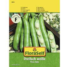 Puffbohne 'Dreifach weiße' FloraSelf samenfestes Saatgut Gemüsesamen