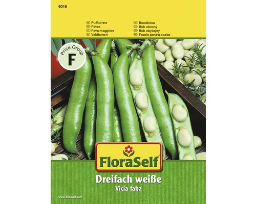 Puffbohne 'Dreifach weiße' FloraSelf samenfestes Saatgut Gemüsesamen