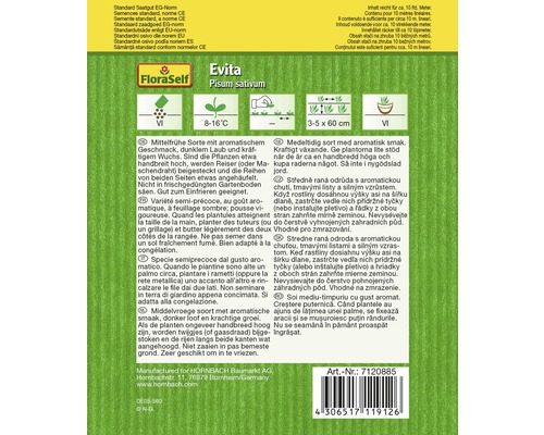 FloraSelf Evita Saatgut Erbse