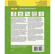 Kleine Rheinländerin Erbsensamenpackung von FloraSelf