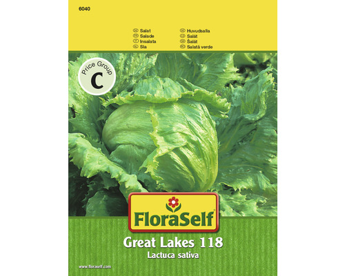 Eisbergsalat 'Great Lakes 118' FloraSelf samenfestes Saatgut Salatsamen-0
