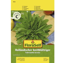 Feldsalat 'Holländischer breitblättriger' FloraSelf samenfestes Saatgut Salatsamen