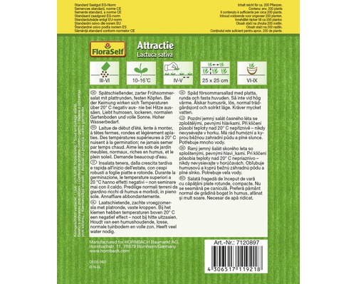 Samenpackung Attractie Lactuca sativa, ein spätschiessender, zarter Sommersalat
