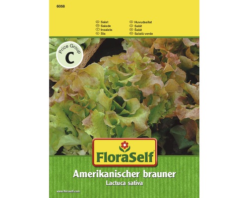 Salat 'Amerikanischer brauner' FloraSelf samenfestes Saatgut Salatsamen-0
