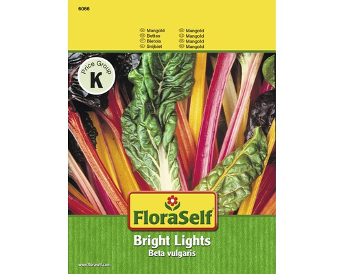 Mangold ‘Bright Lights‘ FloraSelf F1 Hybride Gemüsesamen