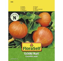 Kürbis 'Uchiki Kuri' FloraSelf F1 Hybride Gemüsesamen-thumb-0