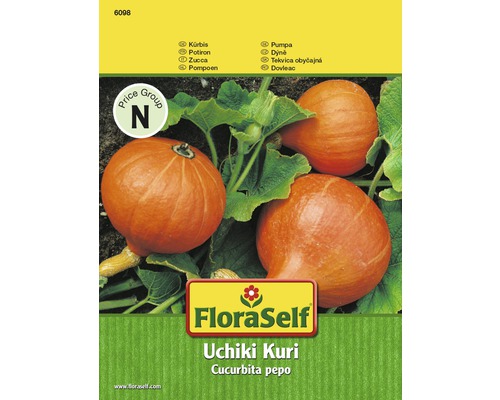 Kürbis 'Uchiki Kuri' FloraSelf F1 Hybride Gemüsesamen-0