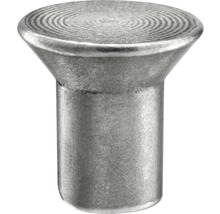 Ein einzelner Senkkopfniet aus Metall