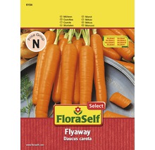 Möhre 'Flyaway' FloraSelf Select F1 Hybride Gemüsesamen-thumb-0
