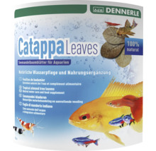 Seemandelbaumblätter Dennerle Catappa Leaves