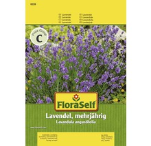 FloraSelf Lavendel, mehrjährig, Lavandula angustifolia