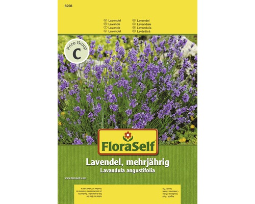 FloraSelf Lavendel, mehrjährig, Lavandula angustifolia