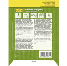 Verpackung mehrjährigen Lavendelsamen der Marke FloraSelf