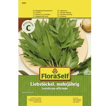 FloraSelf Liebstöckel mehrjährig Samenpackung