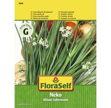 Schnittlauch Knoblauch Pflanzensamenpackung