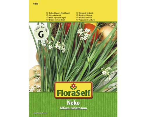 Schnittlauch-Knoblauch 'Neko' FloraSelf samenfestes Saatgut Kräutersamen