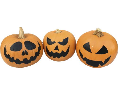 Drei Halloween-Kürbisse mit geschnitzten Gesichtern