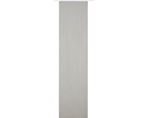 Schiebegardine Lino 19 taupe 60x245 cm