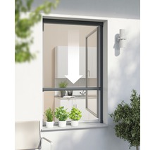 Insektenschutz Windhager PLUS Rollo-Fenster anthrazit nach Maß (max. 160x160 cm)-thumb-0