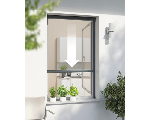 Insektenschutz Windhager PLUS Rollo-Fenster anthrazit nach Maß (max. 100x160 cm)-0