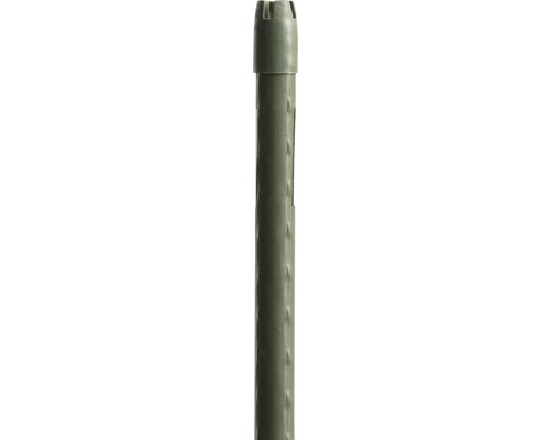 GARDEN Pflanzenstab Rankhilfe – Grün, 16 Mm Durchmesser, 180 Cm Lang, Kunststoffummantelt