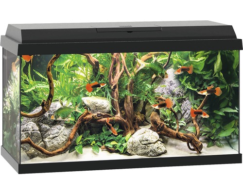 Selling Süßwasseraquarium der Marke JUWEL ca. 360L