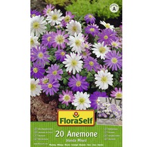 FloraSelf 20 Anemone blanda Mixed Packung