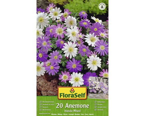 FloraSelf 20 Anemone blanda Mixed Packung