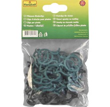 Packung Pflanzenbindeclips