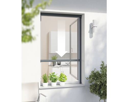Insektenschutz-Rollo-Fenster PLUS ohne Bohren anthrazit 160x160 cm