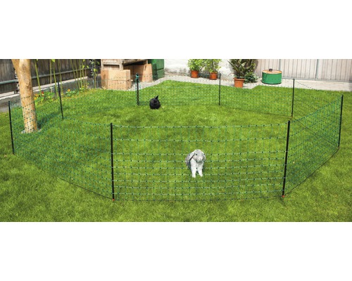 Grüner Geflügelzaun mit zwei Tieren im Garten