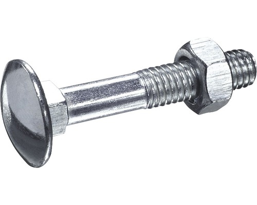 Schloßschraube m. Mutter DIN 603 M6x120 mm galv. verzinkt, 50 Stück Schloßschraube m. Mutter DIN 603 M6x120 mm galv. verzinkt, 50 Stück